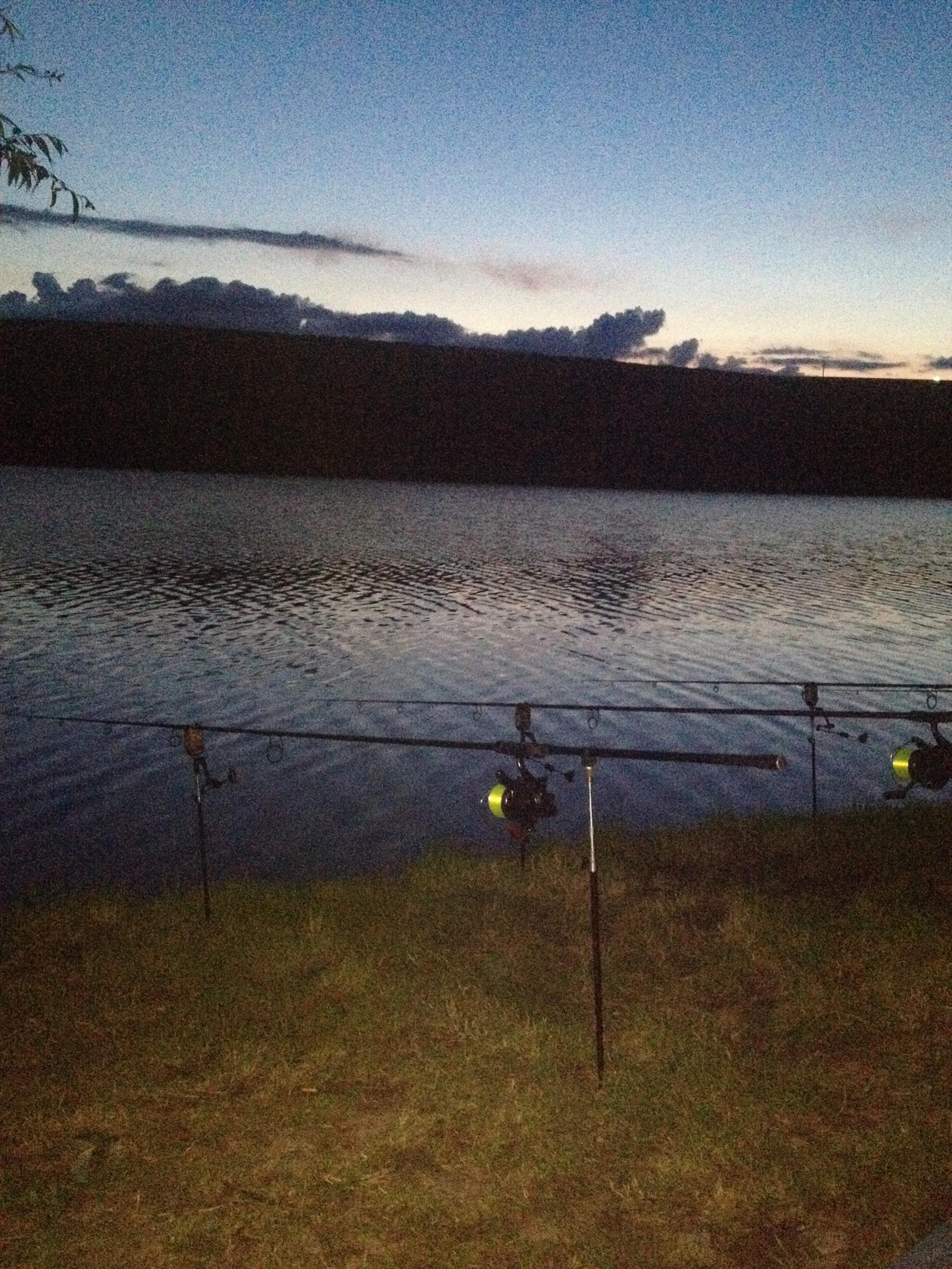 sulimanu - img1218.JPG